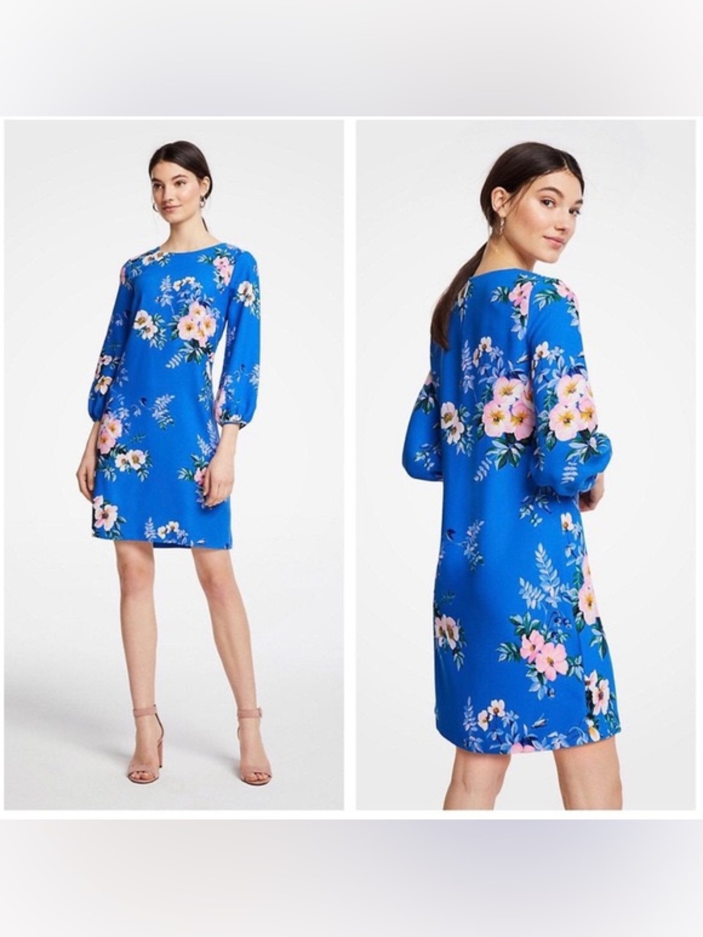 Ann Taylor Royal Blue Floral Shift Dress with 3/4 Sleeves